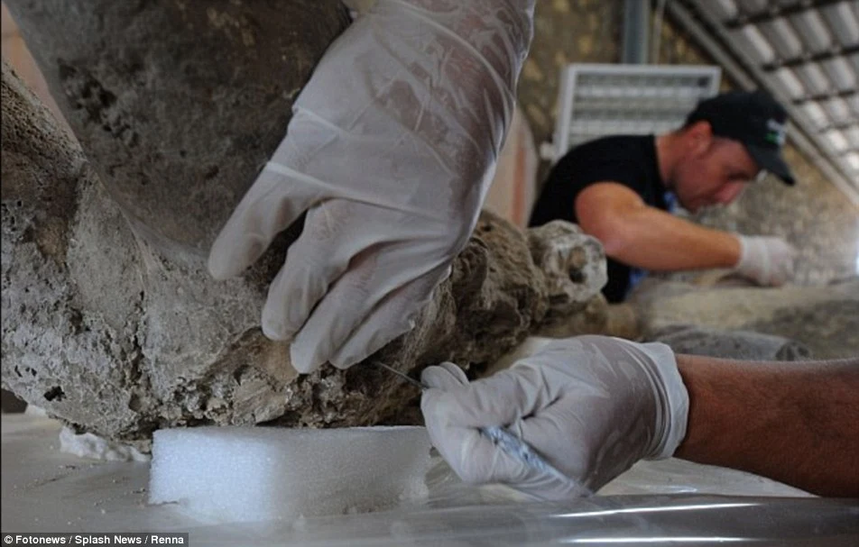 Revealing the Lost Lives of Pompeii: Unprecedented CT Scans Reveal the ...