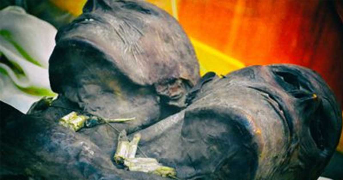 Historic Digging Discovers Mysterious Two-Headed Giant Mummy